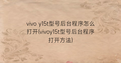 vivoy15t型号后台程序怎么打开(vivoy15t型号后台程序打开方法)